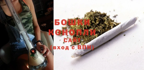 винт Арсеньев