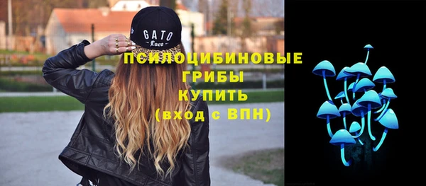гашик Армянск