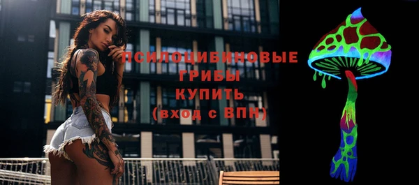 гашик Армянск