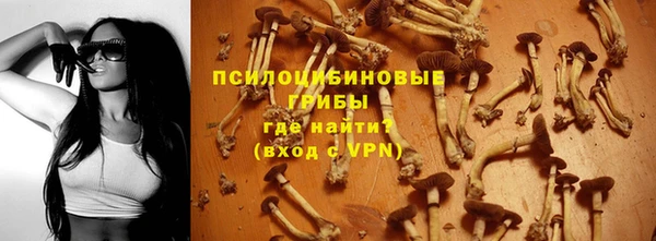 винт Арсеньев