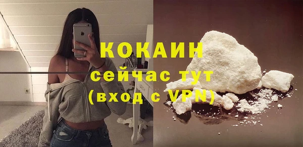 винт Арсеньев