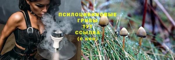 гашик Армянск