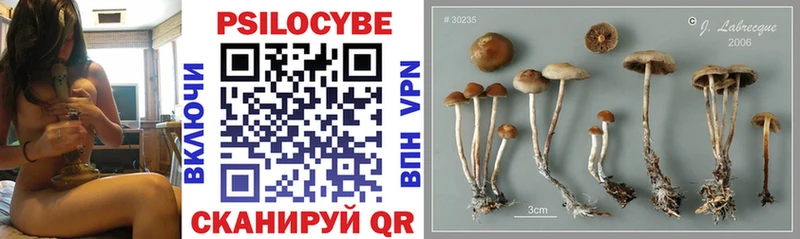 Галлюциногенные грибы мухоморы  Купить закладки  Пролетарск 